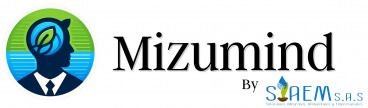 Mizumind